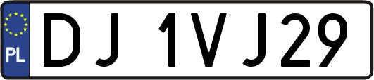 DJ1VJ29