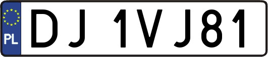 DJ1VJ81