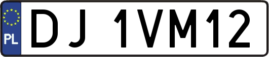 DJ1VM12