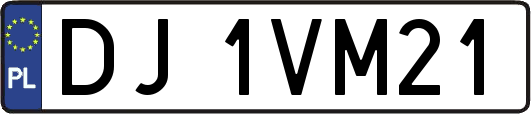 DJ1VM21