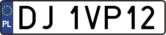 DJ1VP12