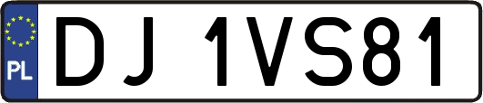 DJ1VS81