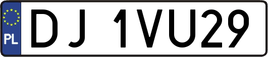 DJ1VU29