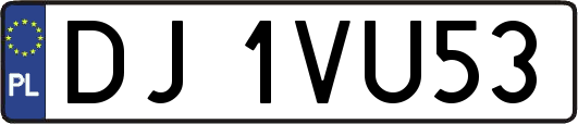 DJ1VU53