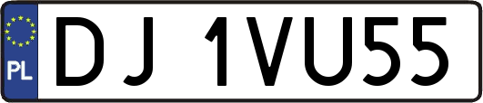 DJ1VU55