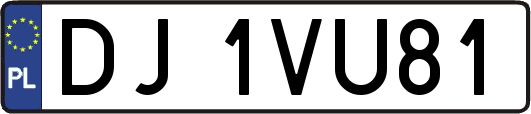 DJ1VU81