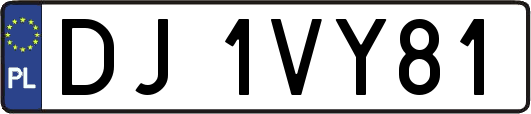 DJ1VY81