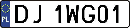 DJ1WG01
