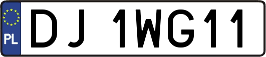 DJ1WG11