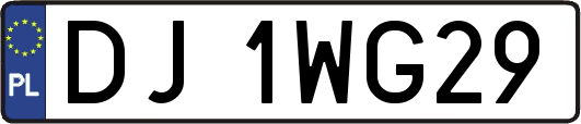 DJ1WG29