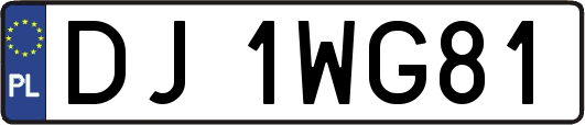DJ1WG81