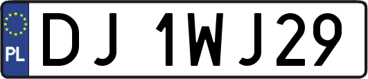 DJ1WJ29