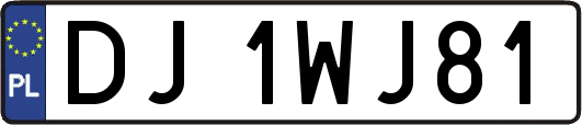 DJ1WJ81