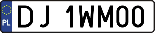 DJ1WM00