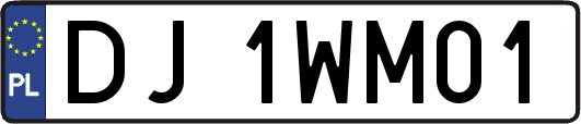 DJ1WM01