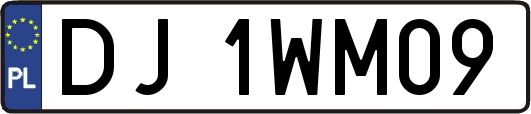 DJ1WM09