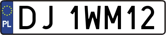 DJ1WM12