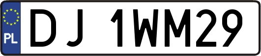 DJ1WM29