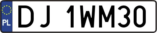 DJ1WM30