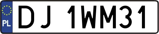 DJ1WM31