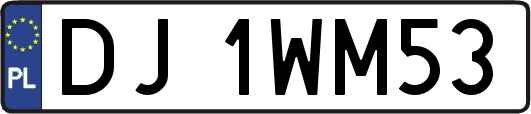 DJ1WM53