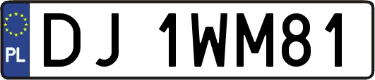 DJ1WM81