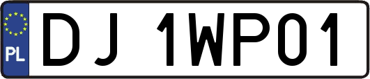 DJ1WP01