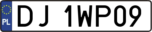 DJ1WP09