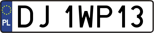 DJ1WP13