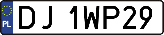 DJ1WP29