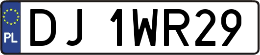 DJ1WR29