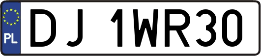 DJ1WR30