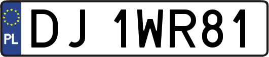 DJ1WR81