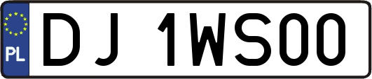 DJ1WS00