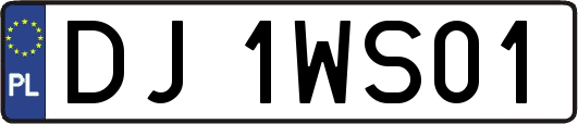 DJ1WS01