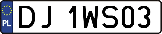 DJ1WS03