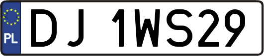 DJ1WS29