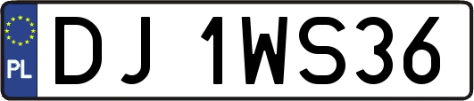 DJ1WS36