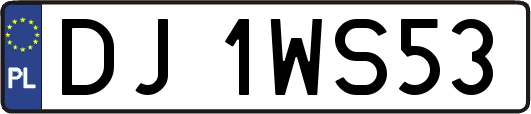 DJ1WS53