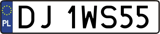 DJ1WS55