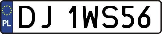 DJ1WS56