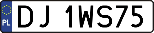 DJ1WS75