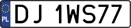 DJ1WS77