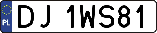 DJ1WS81