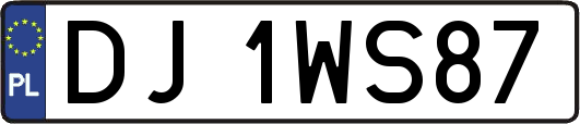 DJ1WS87