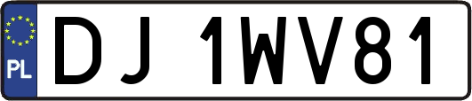 DJ1WV81