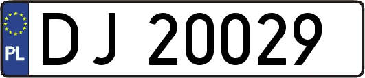 DJ20029