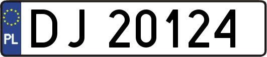 DJ20124
