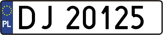 DJ20125