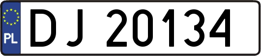 DJ20134